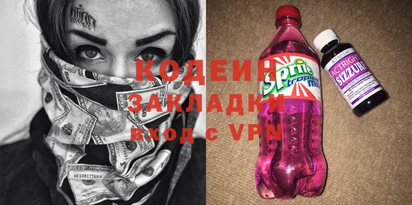 МДПВ Гусев