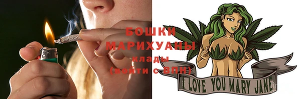 МДПВ Гусев