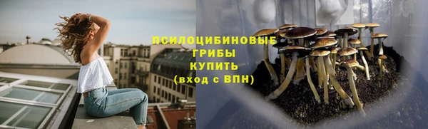 крисы Гусиноозёрск