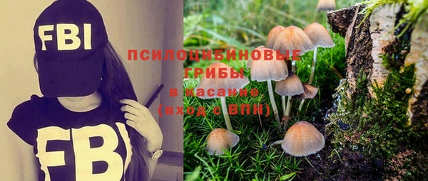 прущая мука Чердынь