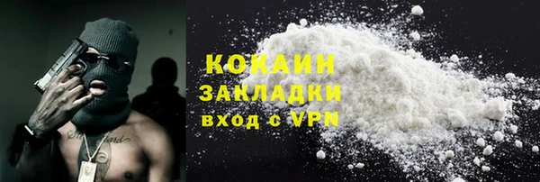 МДПВ Гусев
