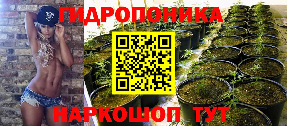 Марихуана планчик Искитим